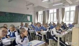 鹤山职校爆料新闻,揭秘校园内幕，真相背后引人深思